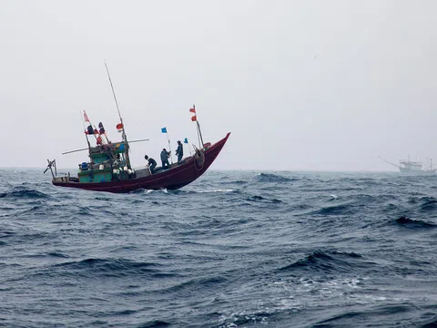 Hành trình 10 ngày đánh bắt xa bờ ngoài khơi vịnh Bắc Bộ