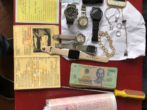 Đà Nẵng: Bắt tên trộm sử dụng xe ô tô để gây án