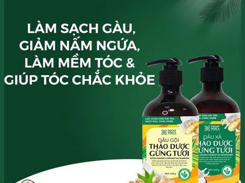 Dầu gội trị gàu tốt nhất dành cho nam giới?