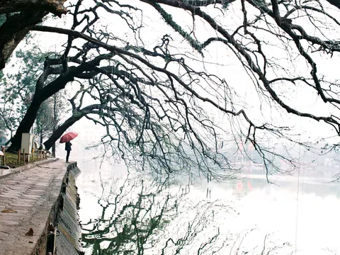 Khoảnh khắc mùa đông Hà Nội