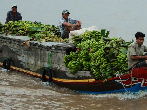 Những thương hồ trên đất Phương Nam