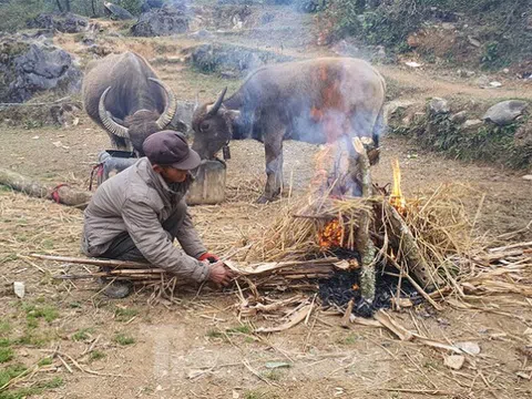 Hà Giang rét tê tái, người dân nổi lửa sưởi ấm cho gia súc