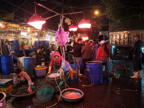 Tiểu thương co ro trong đêm rét 12 độ C