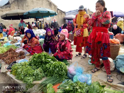 Điện Biên: Lợn cắp nách, gà đen đặc sản và vô số sản vật núi rừng có ở chợ phiên Tủa Chùa