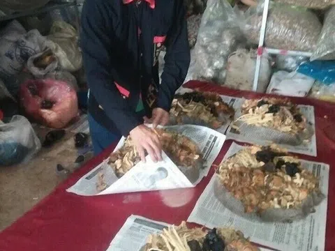 Giải mã bí ẩn thảo dược kích thích tuyến yên giúp người bệnh có giấc ngủ tự nhiên