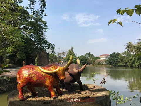 Độc đáo 1010 con trâu “cực chất” của 8x Hà Nội “chăn” tại Đường Lâm