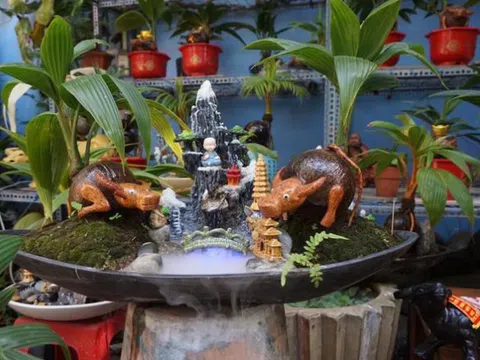 Độc đáo bonsai dừa tạo hình con trâu đón Tết Tân Sửu 2021