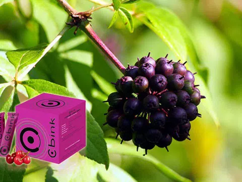 CBINK có chứa thảo dược cổ eleuthero giúp giảm stress, phòng ung thư và giúp tăng vòng 1