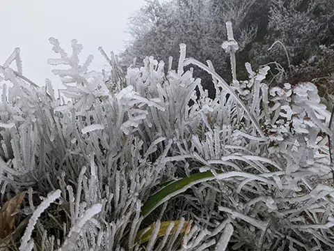 Nhiệt độ xuống dưới 0 độ C, băng giá phủ trắng nhiều nơi trong đợt rét khốc liệt ở miền Bắc