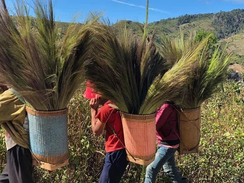 Người dân đổ xô đi "nhặt" lộc trời đầu năm bất chấp nguy hiểm rình rập