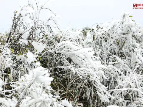 Cận cảnh băng giá bao phủ đỉnh Mẫu Sơn