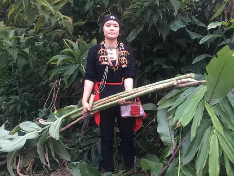 Người 'làm chuột bạch' thử thảo dược bỗng khỏi bệnh, giúp nhiều bệnh nhân khỏi bệnh