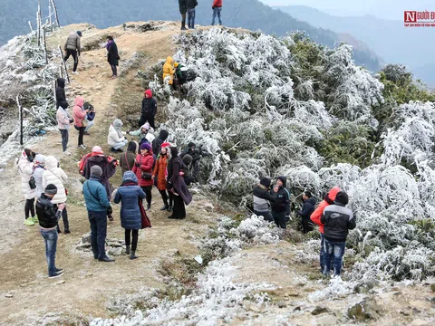 Hàng nghìn người đổ xô lên đỉnh Mẫu Sơn ngắm băng giá