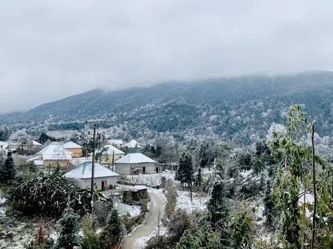 Lào Cai: Tuyết rơi phủ trắng Y Tý