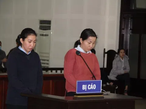 Lừa bán đất dự án chiếm đoạt 103 tỷ đồng, 2 nữ quái lãnh án chung thân