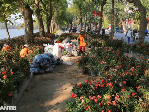 Hồ Gươm thảm hoa rực rỡ sắc màu chào mừng Đại hội XIII của Đảng