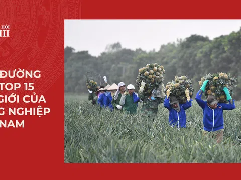 Con đường đến top 15 thế giới của nông nghiệp Việt Nam