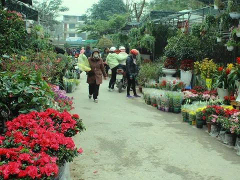 Người dân nườm nượp mua sắm Tết sớm tại chợ hoa Vạn Phúc