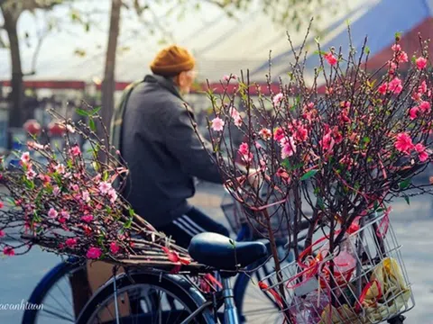 Giao thừa Tết Nguyên đán Tân Sửu 2021 có tái diễn mưa đá như năm trước?