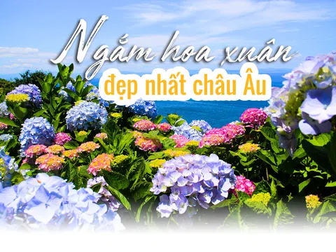 Ngắm hoa xuân đẹp nhất châu Âu
