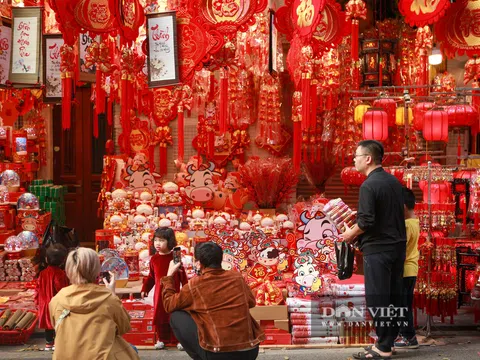 Phố Hàng Mã tràn ngập không khí Tết sớm