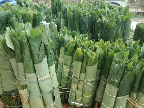 Cận Tết, lá dong các tỉnh đắt hàng, đổ dồn về Hà Nội bao nhiêu cũng hết