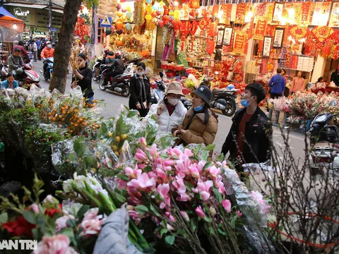 Chợ hoa Hàng Lược bắt đầu khoe sắc đòn người dân sắm Tết