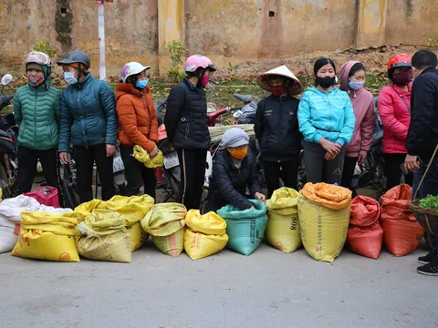 Chợ Lộc Bình - Phiên chợ tết đặc biệt của những chiếc bao tải
