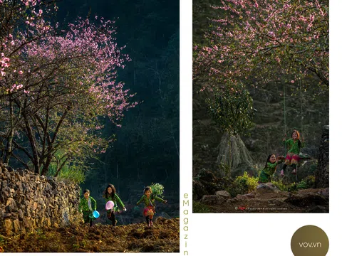 Sắc xuân trên cao nguyên đá