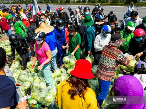 Hà Nội: Người dân đội nắng "giải cứu" nông sản Hải Dương
