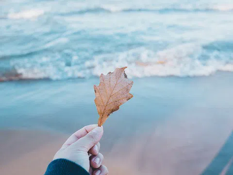 9 lời khuyên của bậc thầy phong thủy để cuộc sống thêm suôn sẻ