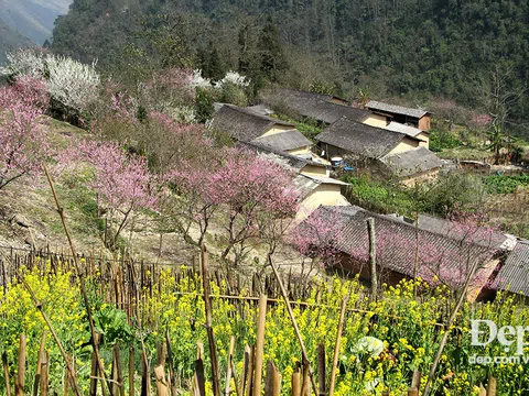 Vẻ đẹp đầy mê hoặc của miền rẻo cao Đông Bắc độ xuân về