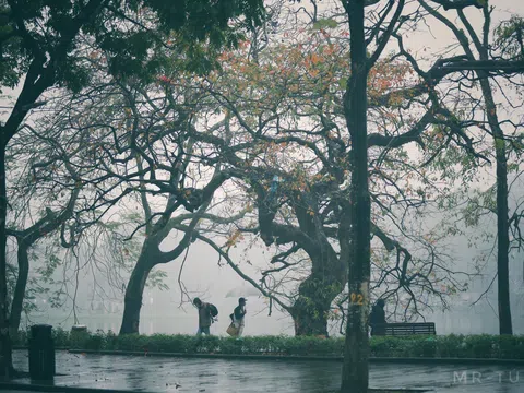 Đón thêm đợt không khí lạnh mới, miền Bắc chìm trong mưa rét