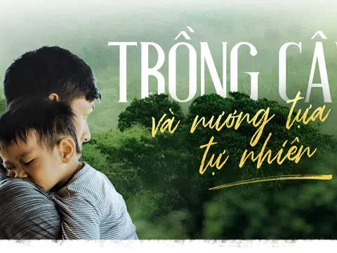 Trồng cây và nương tựa tự nhiên