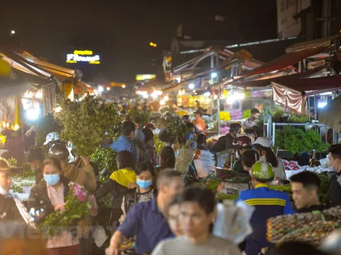 Cảnh nhộn nhịp ở chợ hoa lớn nhất Thủ đô trước ngày 8/3