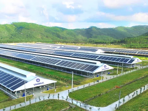 Vinamilk triển khai pin năng lượng mặt trời trên tất cả các trang trại
