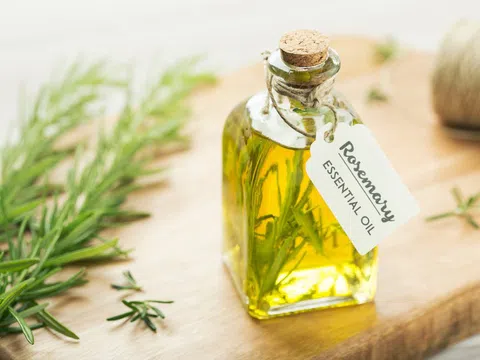 6 tác dụng của cây hương thảo có lẽ bạn cũng chưa biết