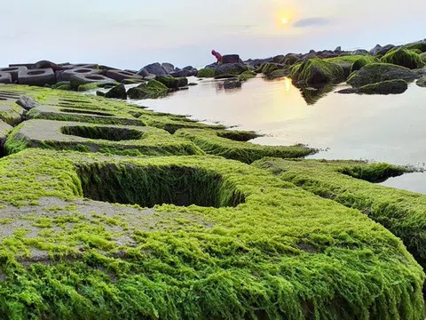 Du khách đổ xô check-in bãi đá rêu xanh đẹp nhất Phú Yên