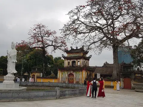 Hải Phòng: Sư trụ trì chùa Trung Hành bị tố hung hăng với người vãn cảnh