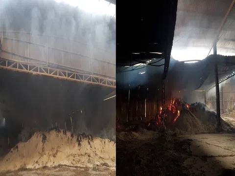 Sơn Động - Bắc Giang: Cần nhanh chóng làm rõ nguyên nhân vụ cháy xưởng chế biến gỗ của Công ty TNHH chế biến lâm sản 1945