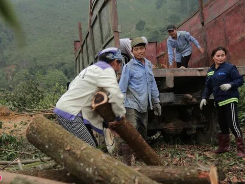 Nghề phu gỗ keo ở vùng cao Thanh Hóa