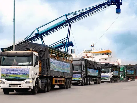 Vinamilk nhập khẩu hơn 2.100 bò sữa HF thuần chủng từ Mỹ về trang trại mới tại Quảng Ngãi