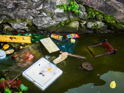 Nước hồ Tây chuyển màu xanh rêu đậm, nhiều dấu hiệu ô nhiễm