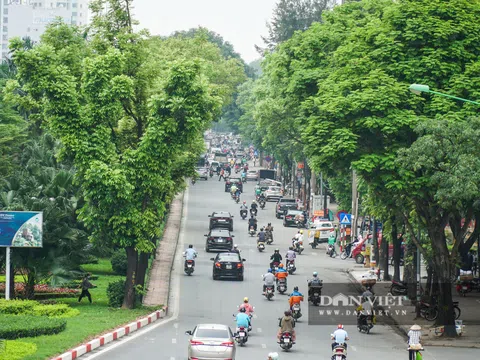 Điểm qua những tuyến đường nhiều tầng cây xanh mướt ở Hà Nội
