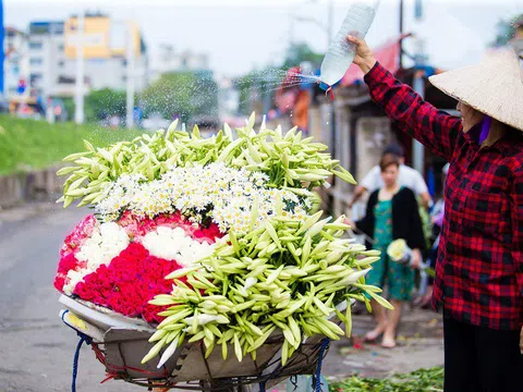 Hà Nội: Xao xuyến những xe hoa loa kèn chở nguồn sống của nhiều lao động ngoại tỉnh