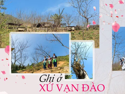 Lên xứ vạn đào