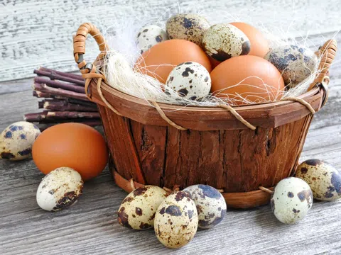 So sánh sự khác biệt về dinh dưỡng của các loại trứng