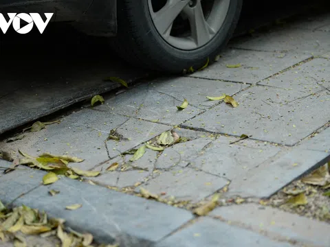 Đá "vĩnh cửu" ở Hà Nội chưa lát xong đã vỡ nát vì ô tô leo lên vỉa hè đậu đỗ