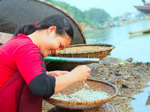 Làng "đãi hến" hơn 300 năm bên bờ sông La