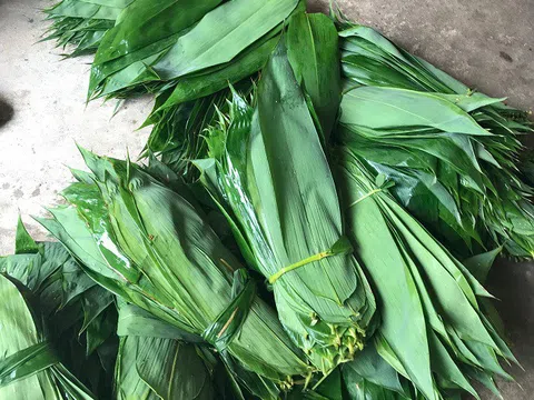 Loại lá mọc dại đầy rừng lên sàn thương mại điện tử, giá hàng trăm nghìn đồng/kg